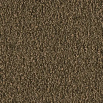 Vorwerk Violetta 7H44 – Draufsicht Teppichboden Farbe 7H44 ohne Badge